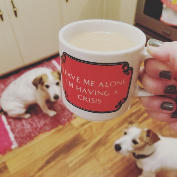 Meet your Posher, Misty - Picture 5 of 5